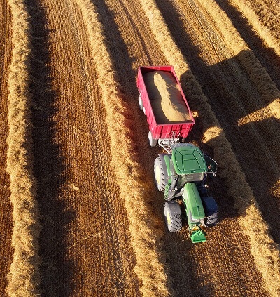 Fertilizing